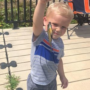 Meet your Posher, Chad